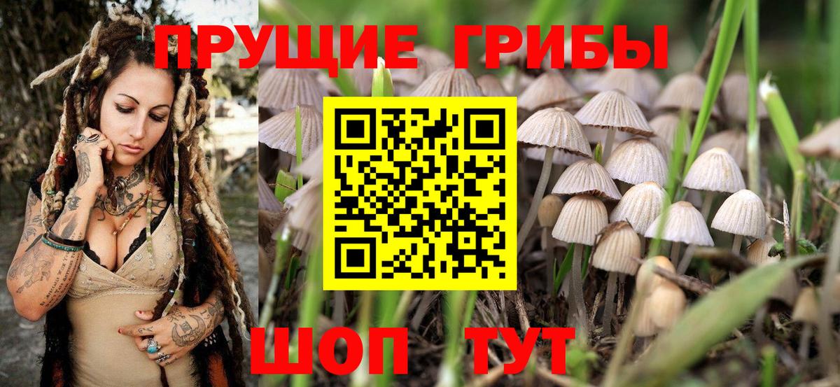 Егорьевск  Галлюциногенные грибы ЛСД  Вход с VPN 
